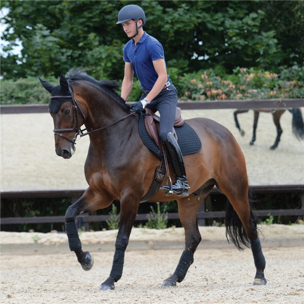 Weatherbeeta Prime Jump Shaped Saddle Pad 1000747 - Black